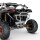 Can-Am Lonestar Racing Rammschutz hinten