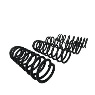 Can-Am Hochbelastbare Federn (Set) - Traxter G1