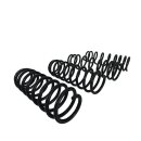 Can-Am Hochbelastbare Federn (Set) - Traxter G1
