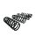 Can-Am Hochbelastbare Federn (Set) - Traxter G1