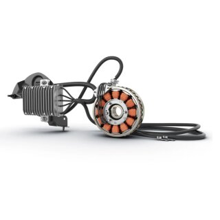 Can-Am 850 W-Magnetzünder - Traxter (MAX) - G1