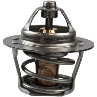 Can-Am Thermostat für DS650