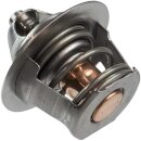 Can-Am Thermostat für DS650