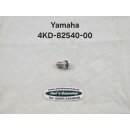 Leerlaufschalter für Yamaha