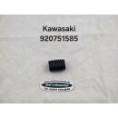 Schalthebelgummi für Kawasaki