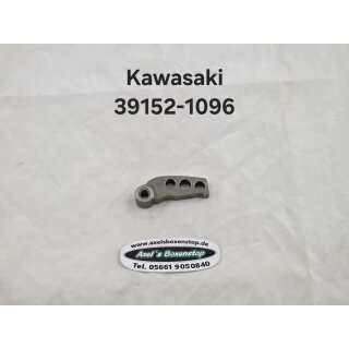 Variomatikgewicht für Kawasaki