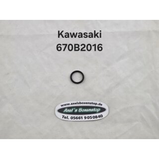 O-Ring für Kawasaki
