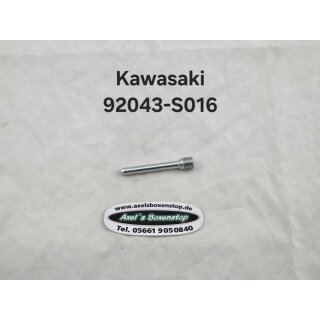 Bremsbelaghaltepin für Kawasaki
