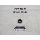 Simmering für Kawasaki