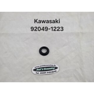 Simmering für Kawasaki