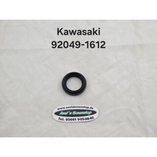 Simmering für Kawasaki