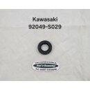 Simmering für Kawasaki