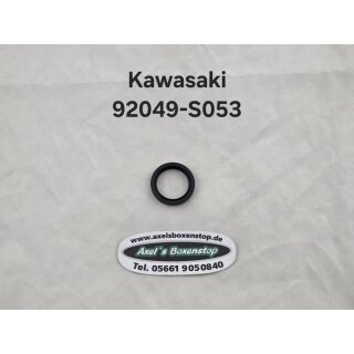 Simmering für Kawasaki