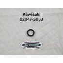 Simmering für Kawasaki