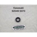 Simmering für Kawasaki