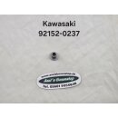 Verkleidungsbuchse für Kawasaki