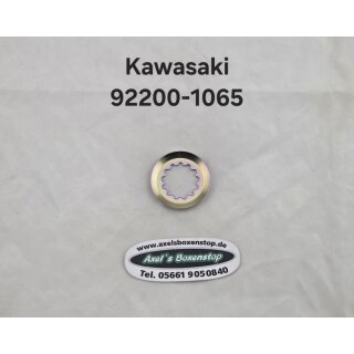 Ritzelsicherungsblech für Kawasaki