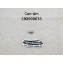 Can-Am Buchse