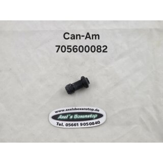 Can-Am Gummi, Bremssattelführung