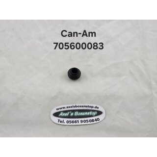 Can-Am Gummi, Bremssattelführung