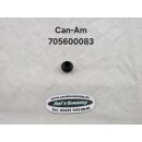 Can-Am Gummi, Bremssattelführung