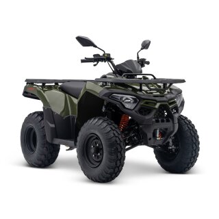 Loncin XWolf 200 (T3b)