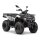 Loncin XWolf 200 (T3b)