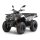 Loncin XWolf 200 (T3b)