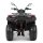 Loncin XWolf 200 (T3b)