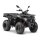 Loncin XWolf 200 (T3b)