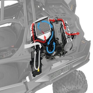Maverick, Maverick Max (2020)