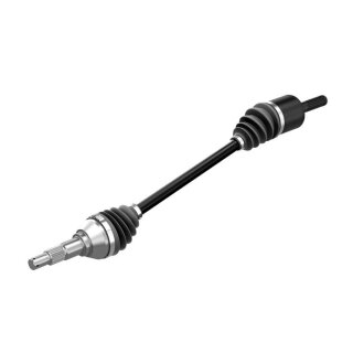 Traxter, Traxter MAX XT Cab 2018-2019, Lone Star Edition bis 2019